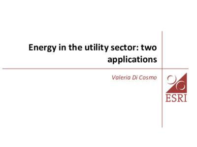 Energy in the utility sector: two applications Valeria Di Cosmo Introduction The ESRI energy division objectives: