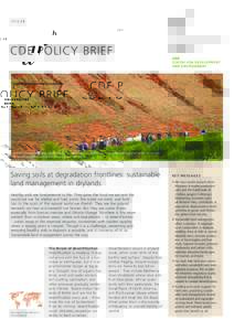 2015 #5  CDE POLICY BRIEF Gullies forming on a degraded landscape used for grazing in Morocco: researchers discuss restoration of the site by planting saltbush (Atriplex). Photo: E. van den Elsen