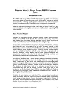 DMEG summary report Nov 2012