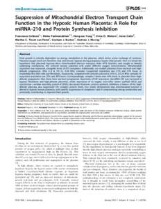 Suppression of Mitochondrial Electron Transport Chain Function in the Hypoxic Human Placenta: A Role for miRNA -210 and Protein Synthesis Inhibition Francesca Colleoni1*, Nisha Padmanabhan1., Hong-wa Yung1., Erica D. Wat