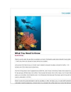 What You Need to Know Scuba Diving There’s a world under the sea that no snorkeler can touch. Technically scuba divers shouldn’t touch either — that’s why divers are advised to leave behind only bubbles.  Lest an