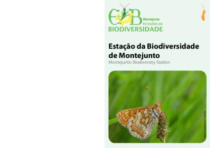 Estação da Biodiversidade de Montejunto Aurinia Euphydryas aurinia  Montejunto Biodiversity Station