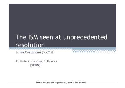 The ISM seen at unprecedented resolution Elisa Costantini (SRON) C. Pinto, C. de Vries, J. Kaastra (SRON)