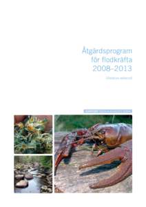 Åtgärdsprogram för flodkräfta 2008–2013 (Astacus astacus)  rapport 5955 • augusti 2009