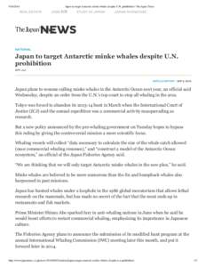 Japan to target Antarctic minke whales despite U.N. prohibition | The Japan Times 転職