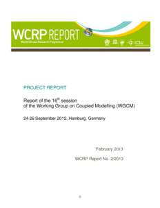Microsoft Word - wgcm16_report.doc