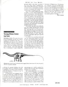 NEWS  PALEONTOLOGY Young Dinos Grew Up Fast