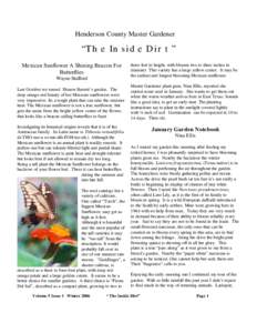 Henderson County Master Gardener  “The Inside Dirt” Mexican Sunflower A Shining Beacon For Butterflies Wayne Stafford