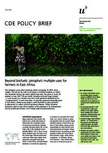 2014 #1  CDE Policy BRIEF A farmer in Ethiopia stands in front of his 