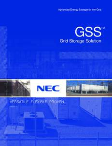 Advanced Energy Storage for the Grid  ™ GSS