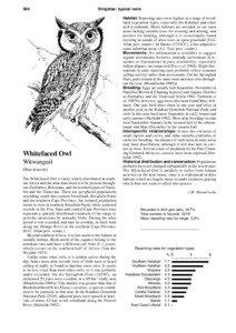 584  Strigidae: typical owls