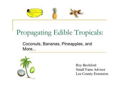 Propagating Edible Tropicals: Coconuts, Bananas, Pineapples, and More... Roy Beckford Small Farm Advisor