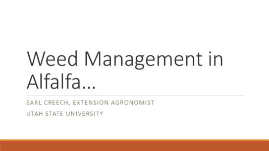Weed Management in Alfalfa… EARL CREECH, EXTENSION AGRONOMIST UTAH STATE UNIVERSITY  …is a marathon, not a sprint