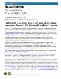 For immediate release December 18, 2014 Contact: Margie Brenner, [removed], [removed] Salt marsh restoration project will strengthen coastal areas near Seatuck, Wertheim and Lido Beach refuges Shirley, N.