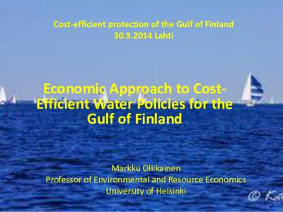 Cost-efficient protection of the Gulf of FinlandLahti Economic Approach to CostEfficient Water Policies for the Gulf of Finland Markku Ollikainen