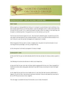 INFORMATION SHEET - CARE OF THE NEWLY GRAFTED TREE FIRST YEAR When you get your newly grafted tree home put it in compost in a pot and keep it warm and damp. If you have not got a greenhouse, it can be kept indoors. It w