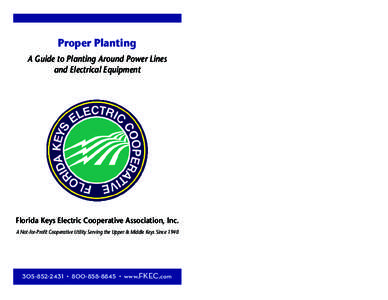 Proper Planting A Guide to Planting Around Power Lines and Electrical Equipment Florida Keys Electric Cooperative Association, Inc. A Not-for-Profit Cooperative Utility Serving the Upper & Middle Keys Since 1940