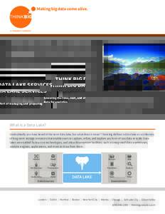 Making big data come alive.  THINK BIG DATA LAKE SERVICES Lowering the time, cost, and effort of managing and preparing data for analytics Organizations are leveraging open source big data platforms to drive