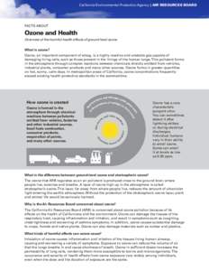 California Environmental Protection Agency | AIR RESOURCES BOARD  FACTS ABOUT Ozone and Health Overview of the harmful health effects of ground level ozone