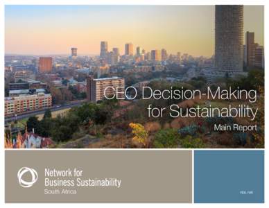 CEO Decision-Making for Sustainability Main Report South Africa