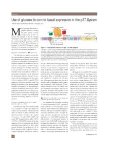 ARTICLE  Use of glucose to control basal expression in the pET System