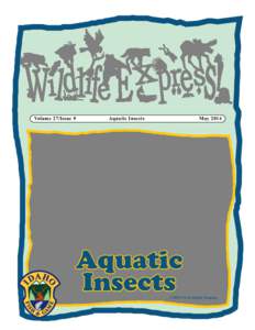 Volume 27/Issue 9 Aquatic Insects