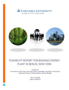 Feasibility Report For Biomass Energy Plant In Berlin, New York