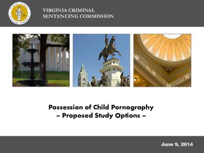 VIRGINIA CRIMINAL SENTENCING COMMISSION Possession of Child Pornography – Proposed Study Options –