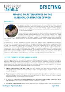 BRIEFING MOVING TO ALTERNATIVES TO THE SURGICAL CASTRATION OF PIGS BACKGROUND Male pigs are castrated for two main reasons: to prevent the risk of boar taint, an unpleasant flavour and smell which can be detected when th