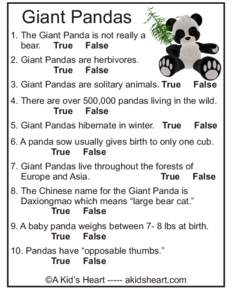 Giant Pandas 1. The Giant Panda is not really a bear. True False 2. Giant Pandas are herbivores. True False 3. Giant Pandas are solitary animals. True