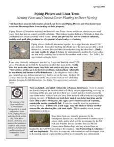 SpringPiping Plovers and Least Terns Nesting Facts and Ground Cover Planting to Deter Nesting This fact sheet presents information about Least Terns and Piping Plovers and what landowners can do to discourage them