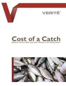 Cost of a Catch Systemic Forced Labor and other Abuses in the Fishing Sector Labor abuses are not limited to the “at sea” segments of seafood supply chains. Abuses have been documented in unloading and sorting dock 
