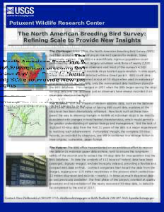 Patuxent Wildlife Research Center  The North American Breeding Bird Survey: Refining Scale to Provide New Insights The Challenge: Since 1966, the North American Breeding Bird Survey (BBS) has filled a vital role in ident