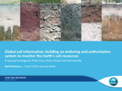 Global soil information: building an enduring and authoritative system to monitor the Earth’s soil resources Proposed strategy for Pillar Four of the Global Soil Partnership Neil McKenzie | Chief, CSIRO Land and Water 