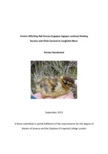 Factors Affecting Red Grouse (Lagopus lagopus scoticus) Nesting Success and Chick Survival at Langholm Moor Kirsten Hazelwood  September 2013
