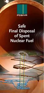 Safe Final Disposal of Spent Nuclear Fuel  A fuel assembly used