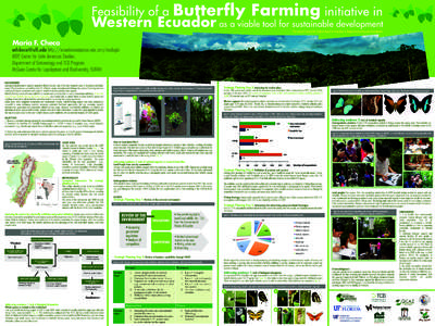 Feasibility of a  Butterfly Farming initiative in Western Ecuador as a viable tool for sustainable development This research received the Schmink Award for Innovation in Tropical Conservation and Development.