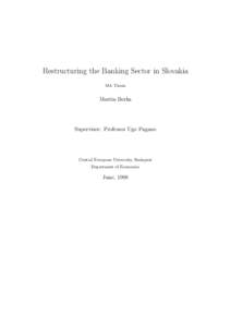 Restructuring the Banking Sector in Slovakia MA Thesis Martin Berka  Supervisor: Professor Ugo Pagano