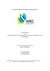 International Gas Union Research Conference[removed]PILOT PROJECT