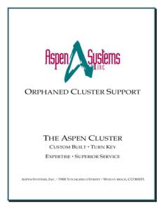 ORPHANED CLUSTER SUPPORT  THE ASPEN CLUSTER CUSTOM BUILT  TURN KEY EXPERTISE  SUPERIOR SERVICE