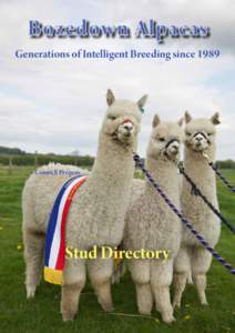 Bozedown Alpacas Generations of Intelligent Breeding since 1989 Comet ll Progeny  Stud Directory