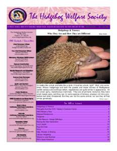 The Hedgehog Welfare Society TO PROTECT THE WELL-BEING OF PET HEDGEHOGS THROUGH RESCUE, RESEARCH AND EDUCATION OF THE PEOPLE WHO CARE FOR THEM. NEWSLETTER #35, The Hedgehog Welfare Society PO Box 242 Chaplin, CT[removed]ww