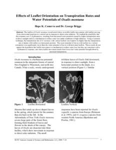 Effects of Leaflet Orientation on Transpiration Rates and Water Potentials of Oxalis montana Hope K. Comerro and Dr. George Briggs