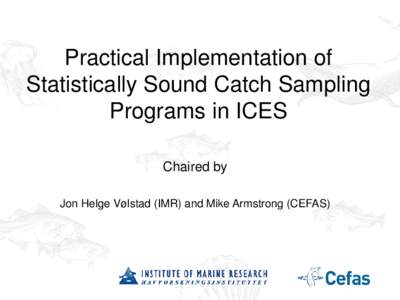 Practical Implementation of Statistically Sound Catch Sampling Programs in ICES Chaired by Jon Helge Vølstad (IMR) and Mike Armstrong (CEFAS)