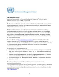 EMG consultative process: A common framework for environmental and social “safeguards”1 in the UN system Rationale, progress report and the way forward The UN system is challenged to improve its environmental and soc