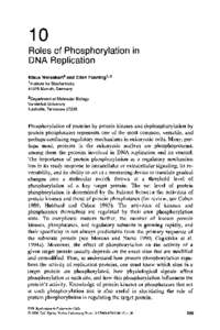 Chapter 10: Roles of Phosphorylation in DNA Replication (PDF)