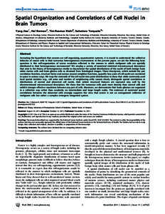 Spatial Organization and Correlations of Cell Nuclei in Brain Tumors Yang Jiao1, Hal Berman2, Tim-Rasmus Kiehl3, Salvatore Torquato4* 1 Physical Science in Oncology Center, Princeton Institute for the Science and Technol