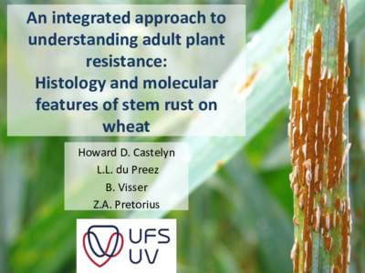 An	
  integrated	
  approach	
  to	
   understanding	
  adult	
  plant	
   resistance:	
  	
   Histology	
  and	
  molecular	
   features	
  of	
  stem	
  rust	
  on	
   wheat	
  