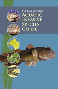 The Lake Superior  Aquatic Invasive Species Guide
