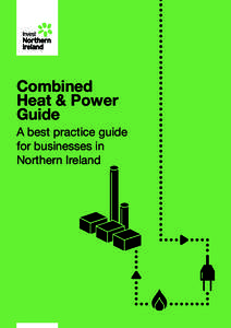 Combined Heat & Power Guide A best practice guide for businesses in Northern Ireland